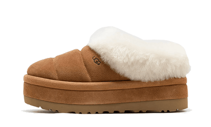 tazzlita-chestnut-socksforsport